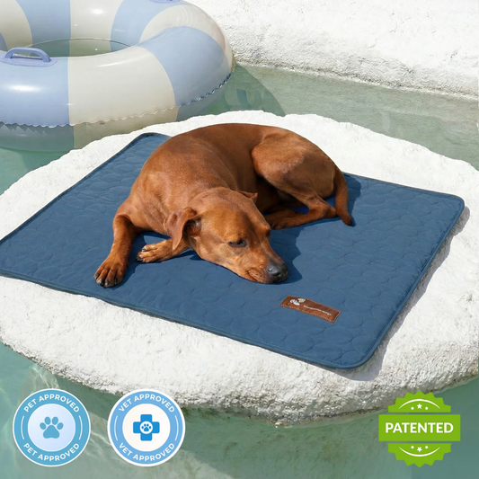 Pupsicle Cooling Mat hero shot